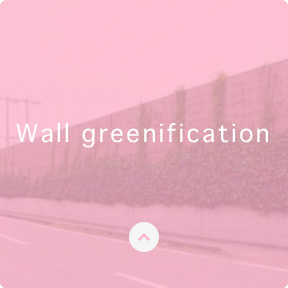 Wall greenification