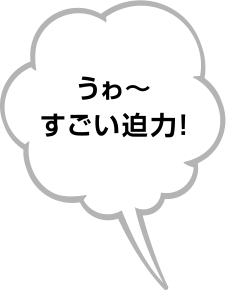 うゎ〜すごい迫力!