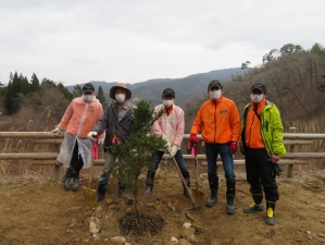 岐阜県の県木「イチイ」