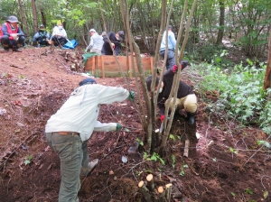 カブトムシの小屋の整備