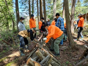 原木を｢ムカデ伏せ｣にしました