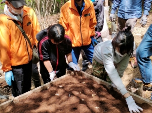 カブトムシの幼虫を放虫