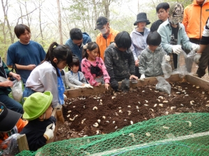 カブトムシの幼虫を小屋に放虫