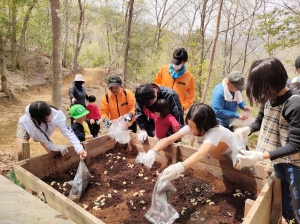 カブトムシの幼虫を小屋に放虫