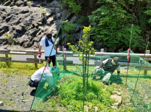 広場の整備