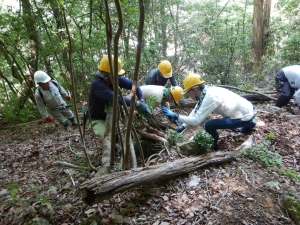 遊歩道の整備