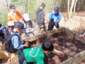 カブトムシの幼虫を小屋に放虫