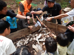 カブトムシの観察会
